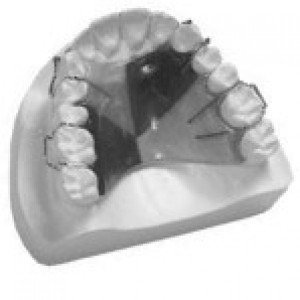 orthodontics1